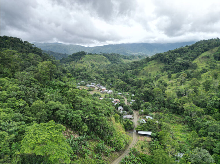 Cooperative Housing by FARC ex-combatants in San Jose de León, Antioquia, Colombia. Foto: Santiago Beaume.