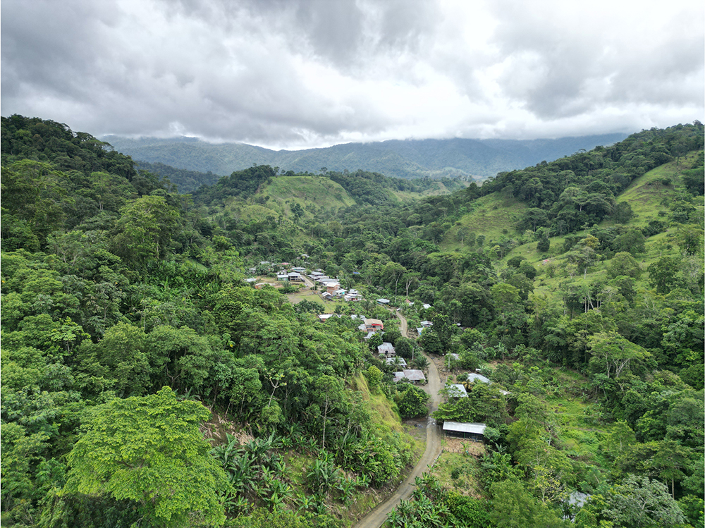 Cooperative Housing by FARC ex-combatants in San Jose de León, Antioquia, Colombia. Foto: Santiago Beaume.